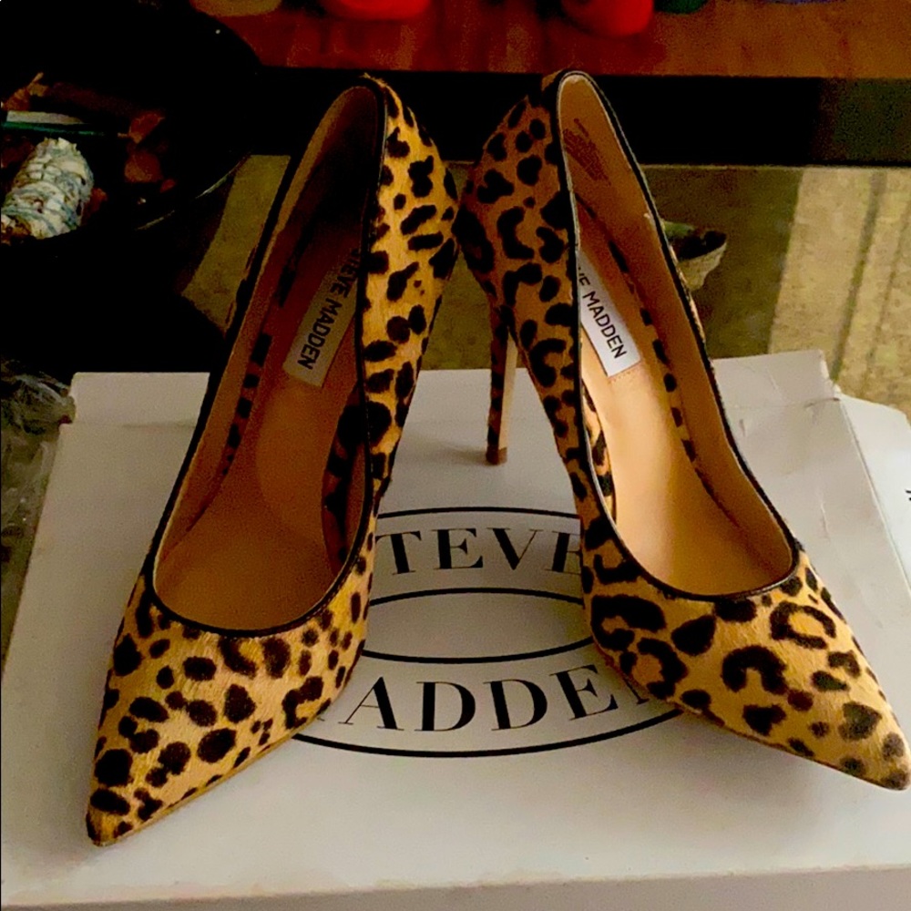 Steven Madden women shoe...Daisie Leopard size 6